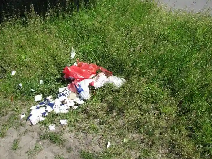У Кіровограді знайшли кілька десятків порваних паспортів фото 1